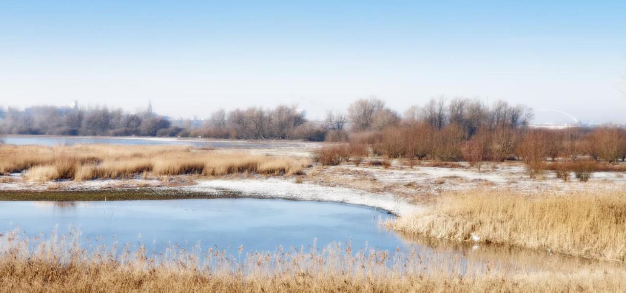 Gezinskamer Van Waard Van Kekerdom Dış mekan fotoğraf